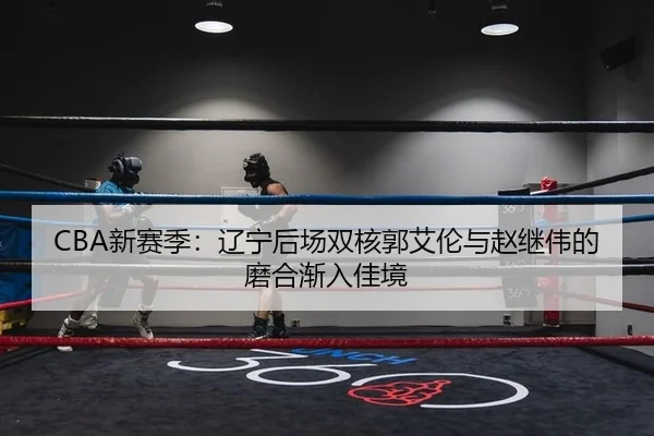 CBA新赛季：辽宁后场双核郭艾伦与赵继伟的磨合渐入佳境